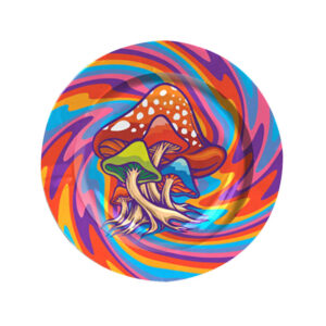 import placeholder for 9534527799541